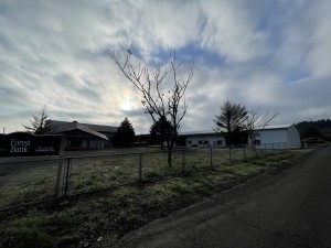 IMG_1868