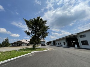 IMG_4288