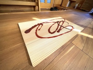 IMG_7620