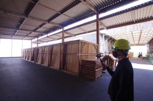 IMG_8675